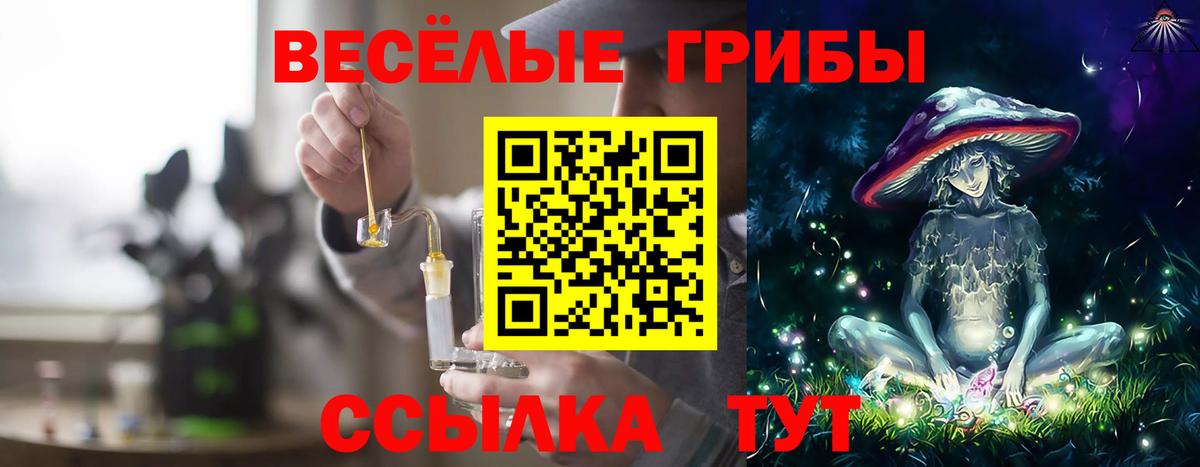 Галлюциногенные грибы Cubensis Полысаево