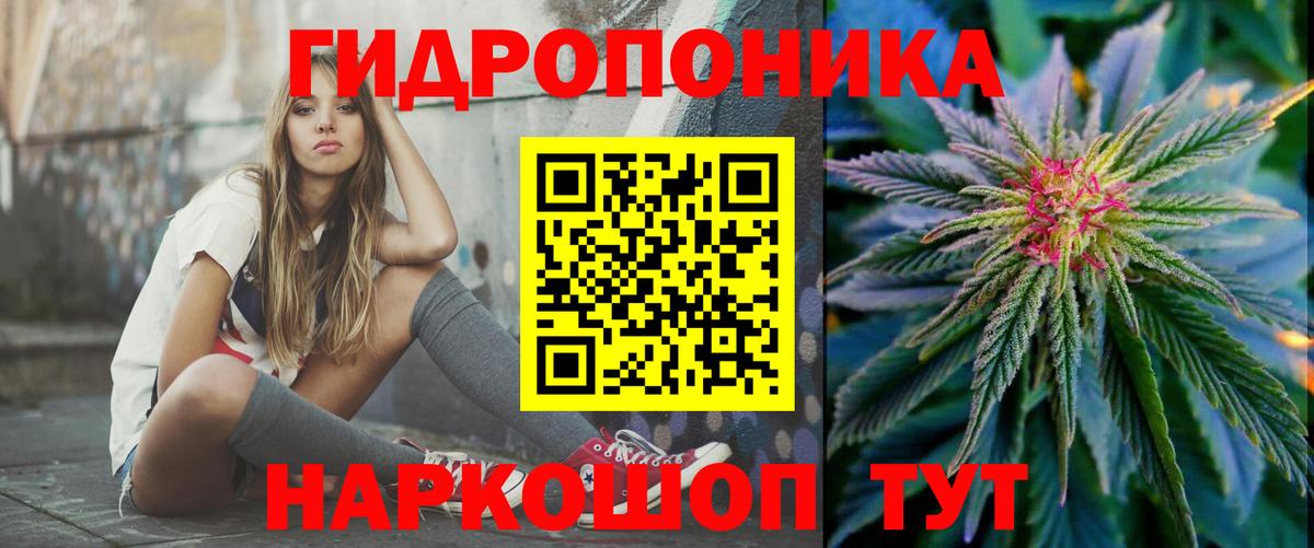 Бошки марихуана сатива Полысаево